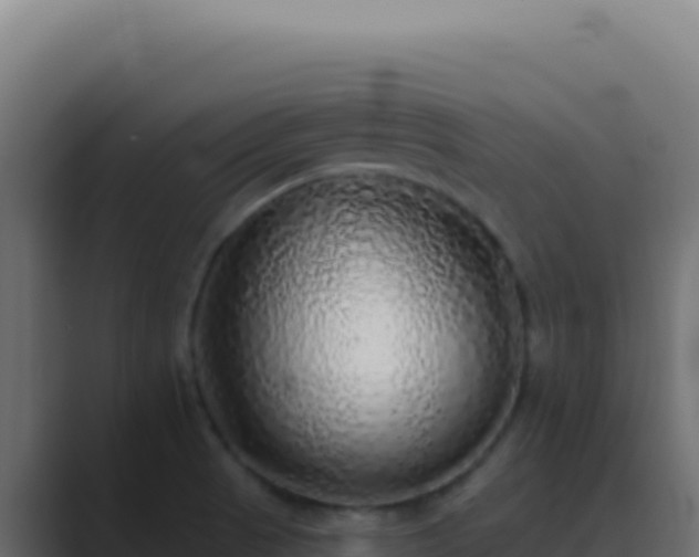 X0000089761521200706281634