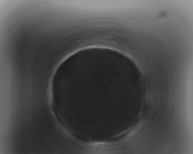 X0000089761522200706281634