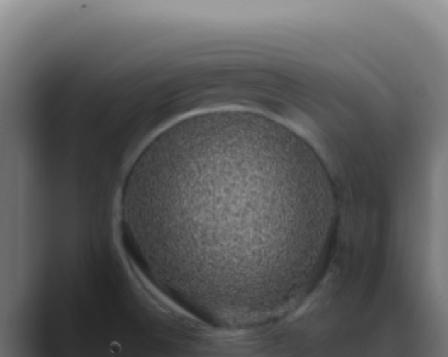 X0000089761524200706281634