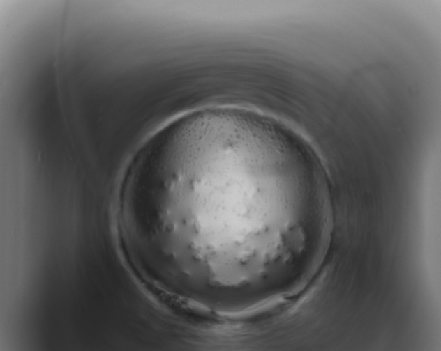 X0000089761525200706281634
