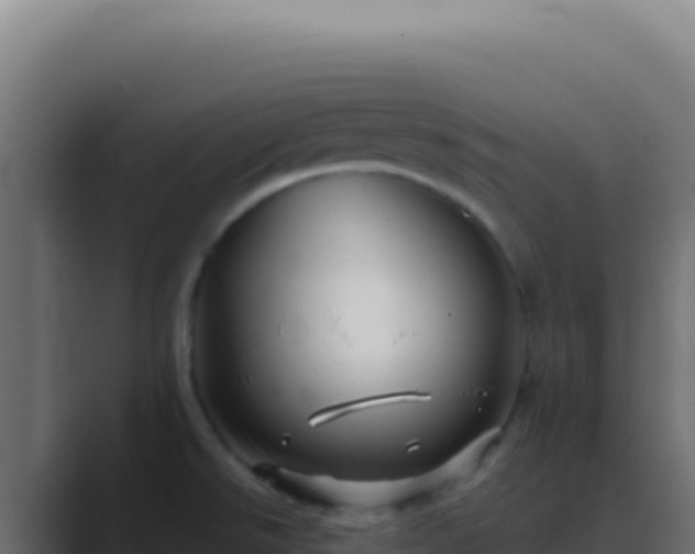 X0000089761526200706281634