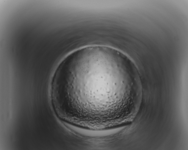 X0000089761527200706281634