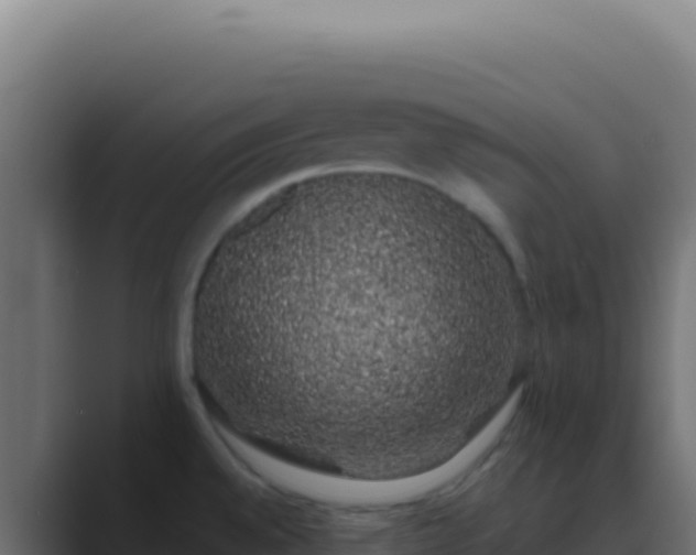 X0000089761528200706281634
