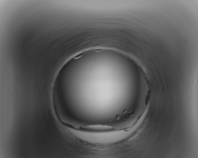X0000089761530200706281634