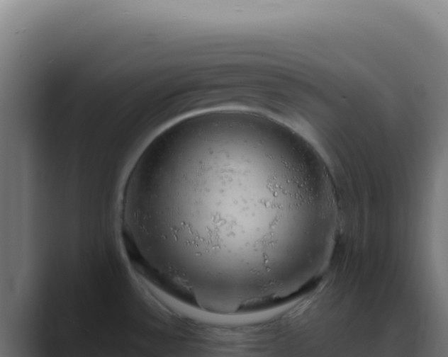 X0000089761532200706281634