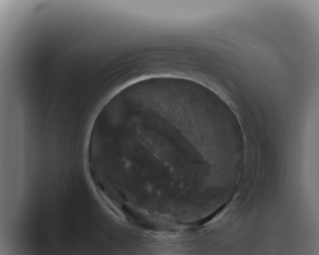 X0000089761536200706281634