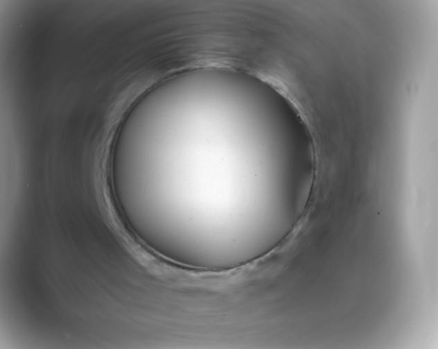 X0000089760001200707051842