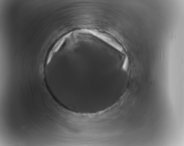 X0000089760002200707051842