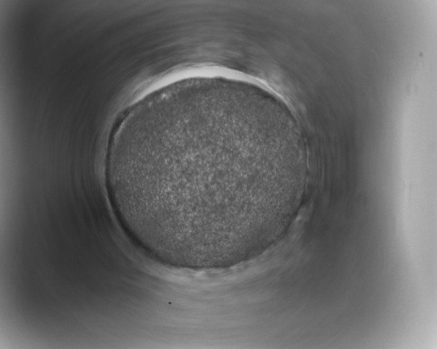 X0000089760003200707051842