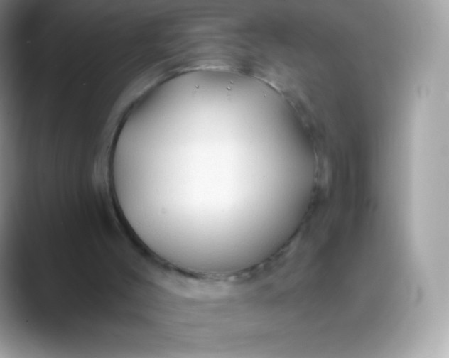 X0000089760004200707051842