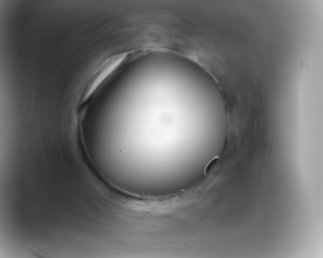 X0000089760005200707051841