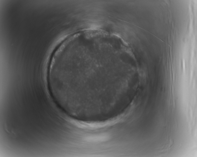 X0000089760006200707051841