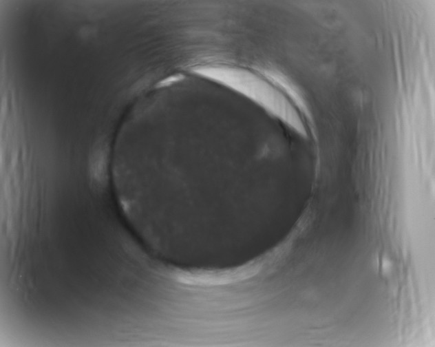 X0000089760009200707051841