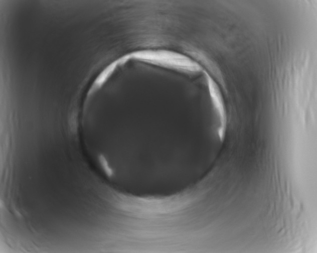 X0000089760010200707051841