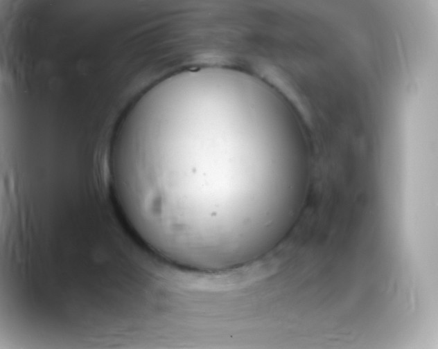 X0000089760011200707051841