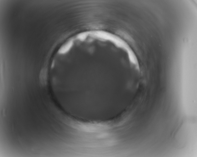 X0000089760012200707051841