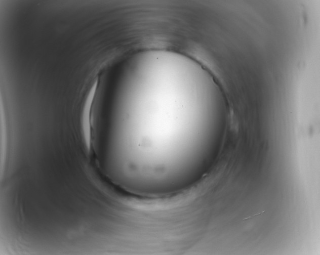 X0000089760013200707051841