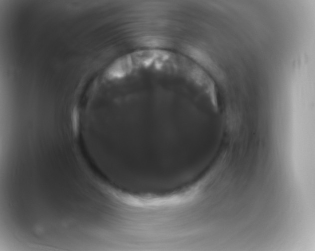 X0000089760014200707051841