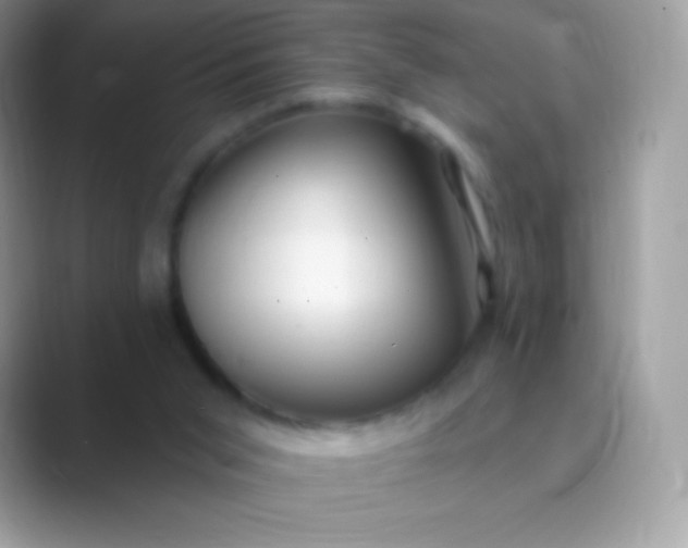 X0000089760015200707051841