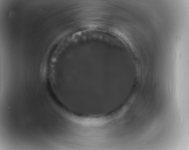 X0000089760016200707051841