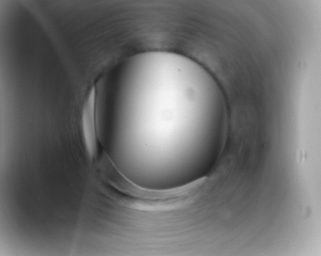 X0000089760017200707051841