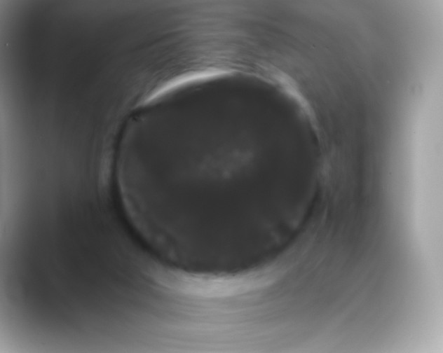 X0000089760018200707051841