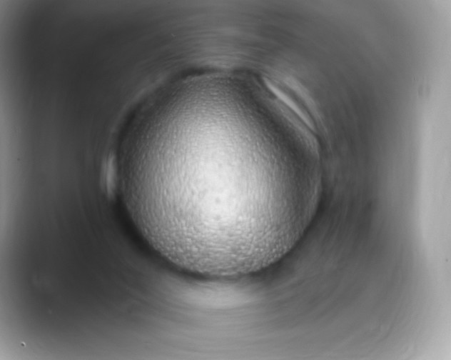 X0000089760020200707051841