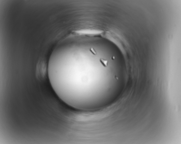 X0000089760021200707051841