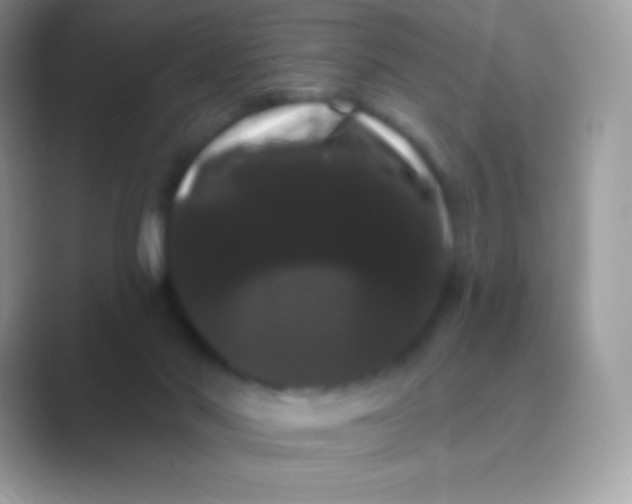 X0000089760022200707051841