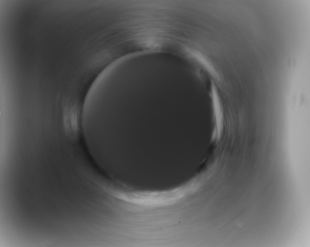 X0000089760023200707051841