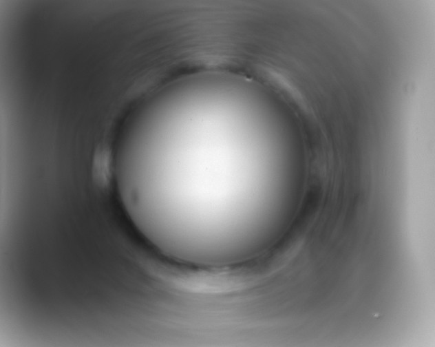 X0000089760024200707051841