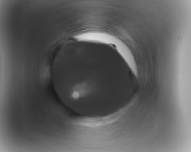 X0000089760029200707051841