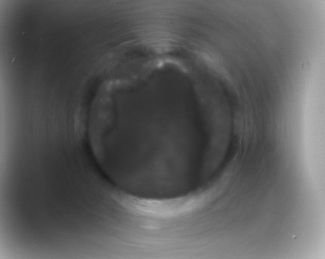 X0000089760030200707051841