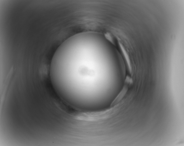 X0000089760033200707051841