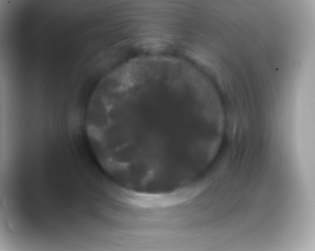 X0000089760034200707051841