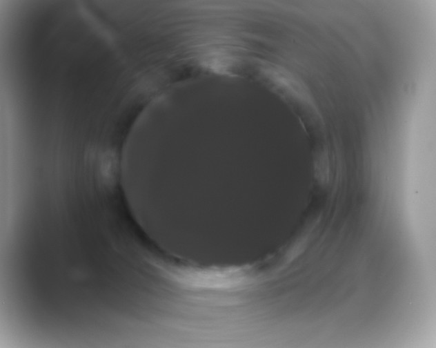 X0000089760036200707051841