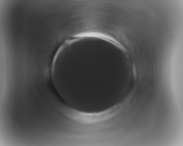 X0000089760039200707051841