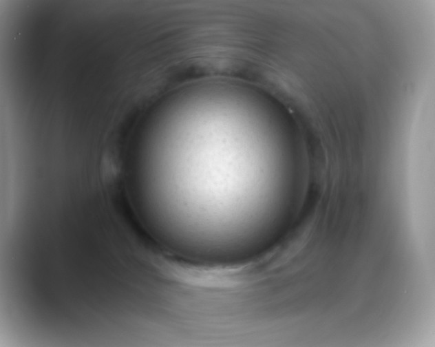 X0000089760040200707051841