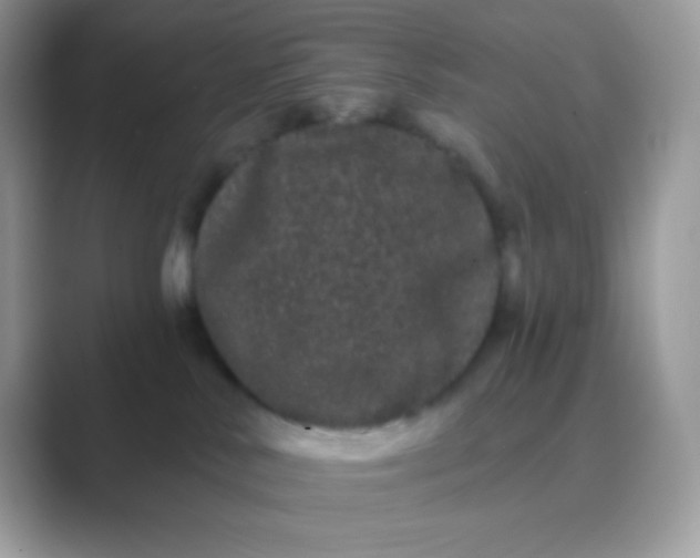 X0000089760042200707051841