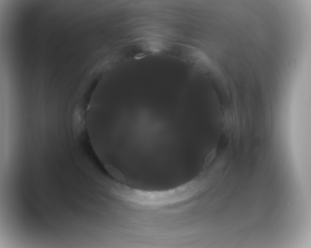 X0000089760043200707051841