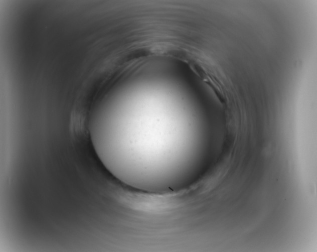 X0000089760044200707051841