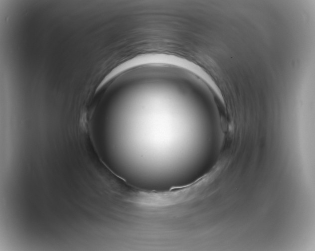 X0000089760045200707051841