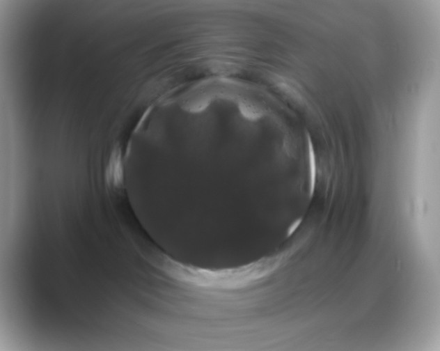 X0000089760046200707051841