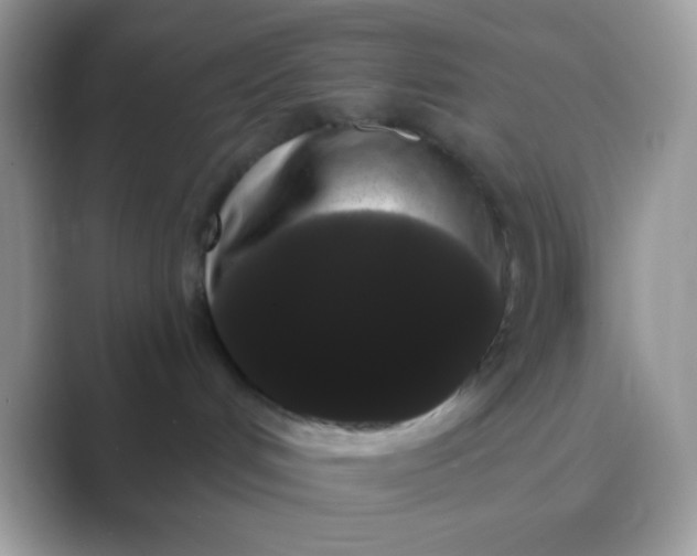 X0000089760048200707051841