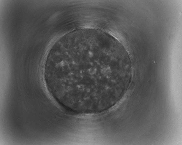 X0000089760049200707051840