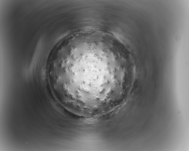 X0000089760050200707051840