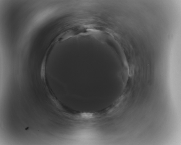 X0000089760052200707051840