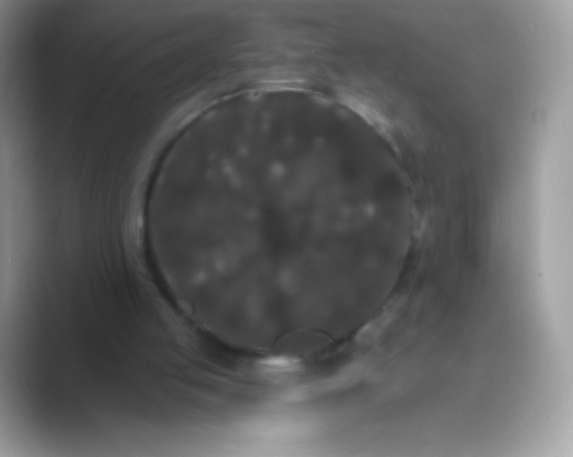 X0000089760053200707051840