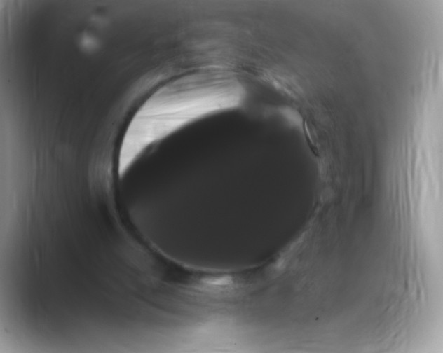 X0000089760054200707051840