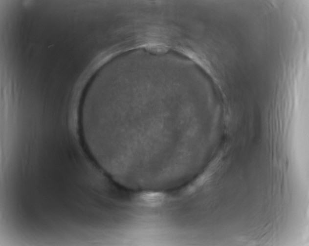 X0000089760055200707051841